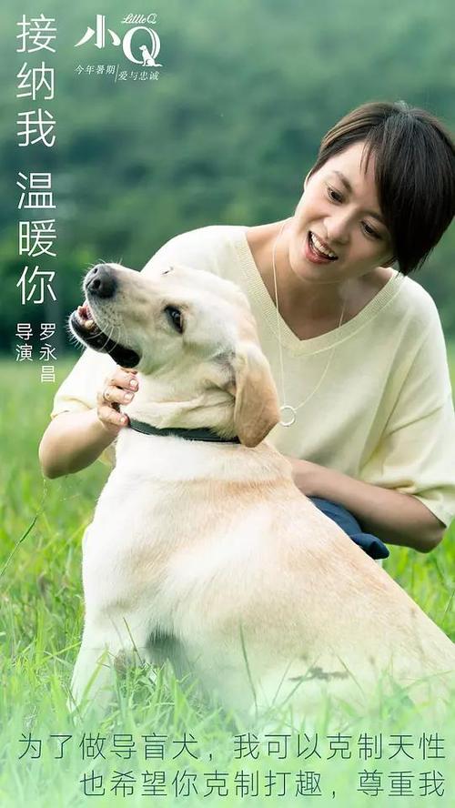 私人高等教育机构计算机科学文凭证书